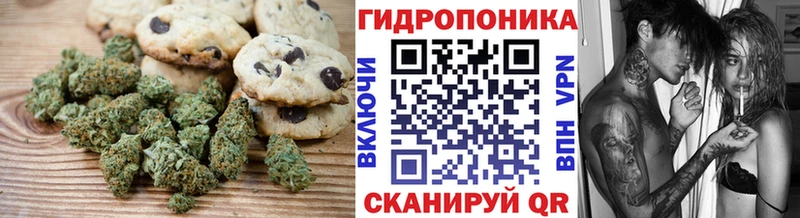 где продают   Лыткарино  Canna-Cookies конопля 