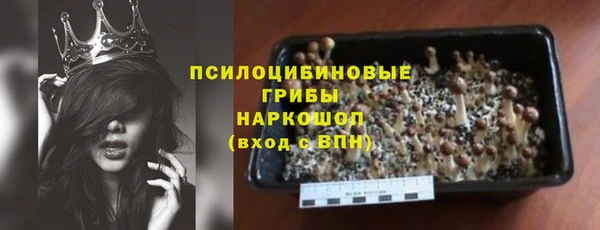 стаф Баксан