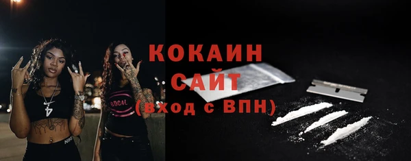 стаф Баксан